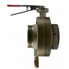 BV78, 4 Customer Thread Rockerlug Swivel X 4 Customer Thread Male 5 Butterfly Valve,with Chrome Plated Lever Handle